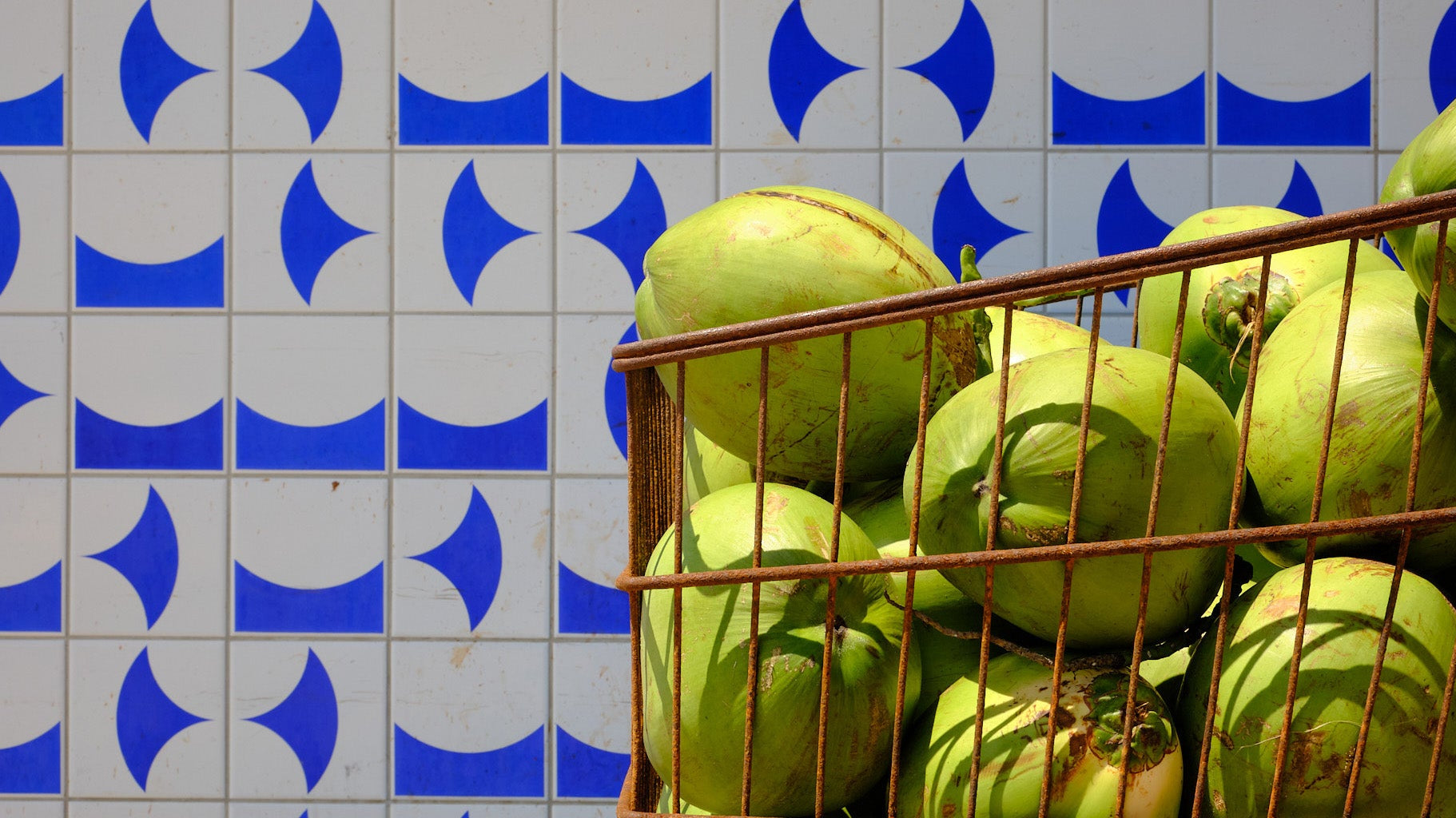 Bahia SS25 | Dove il colore incontra il ritmo