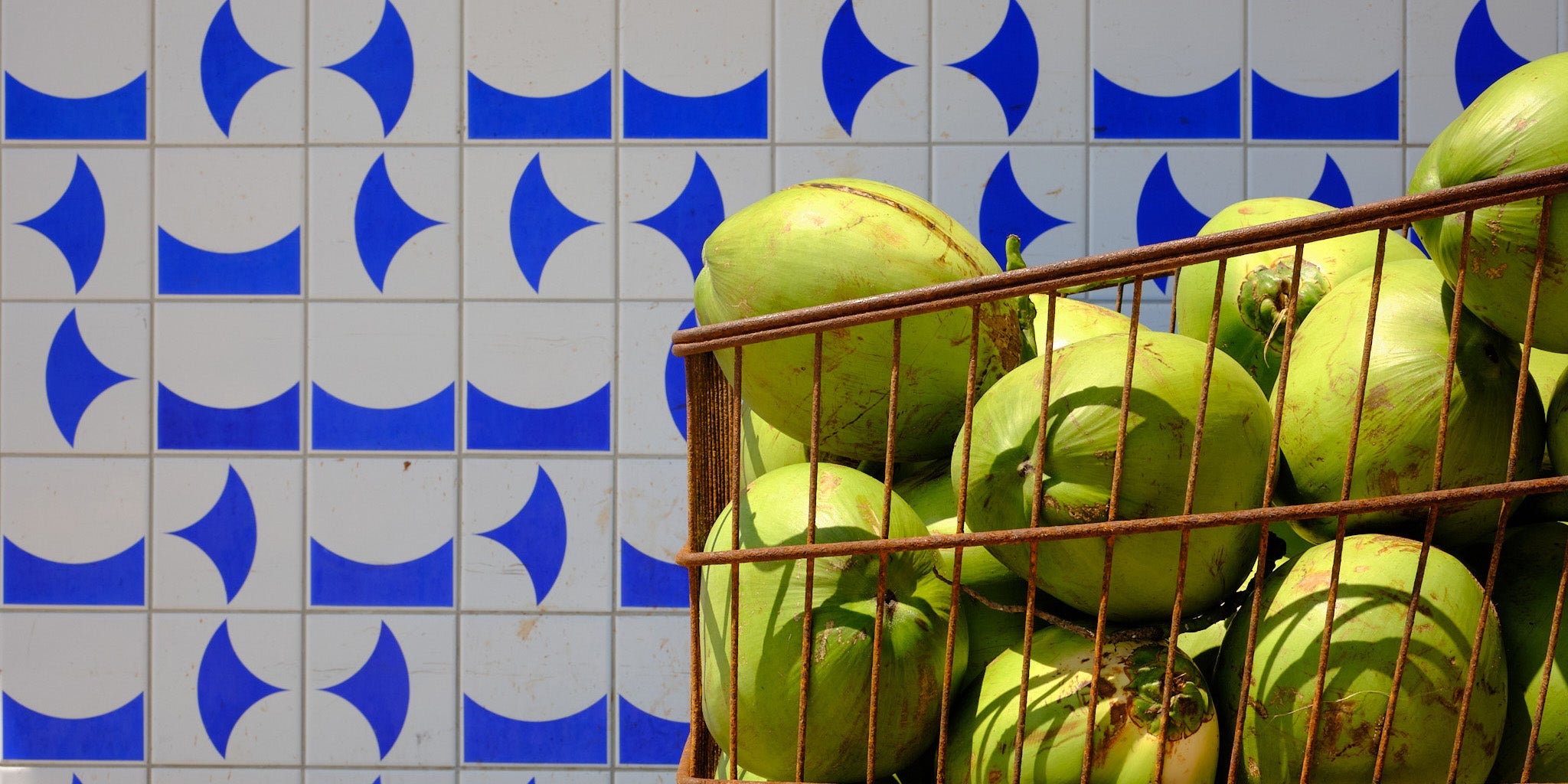 Bahia SS25 | Dove il colore incontra il ritmo